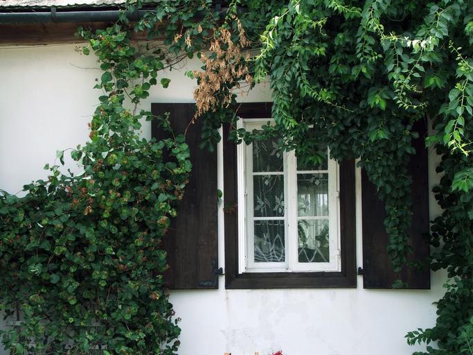 Drevené okno na dome s bielou fasádou.jpg